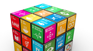 United Nations Sustainable Development Goals