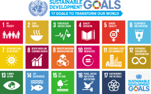 SDG