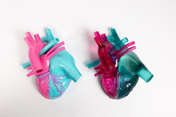 Mimaki-3D-Application